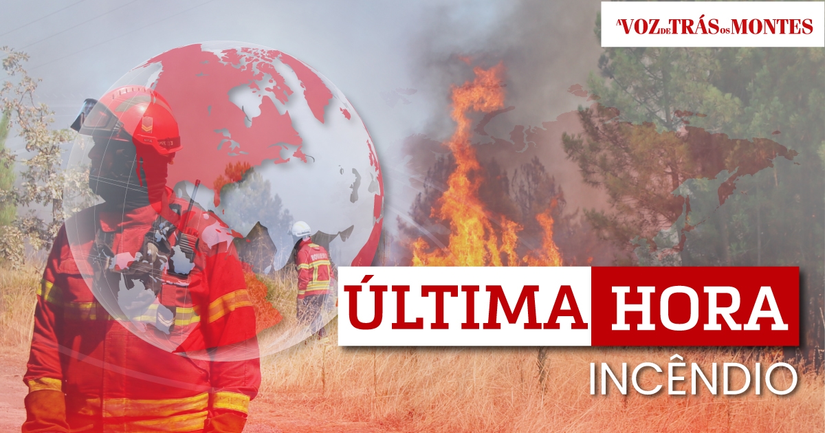 Seven aerial resources and 153 operational personnel fight fire in S. Cibrão