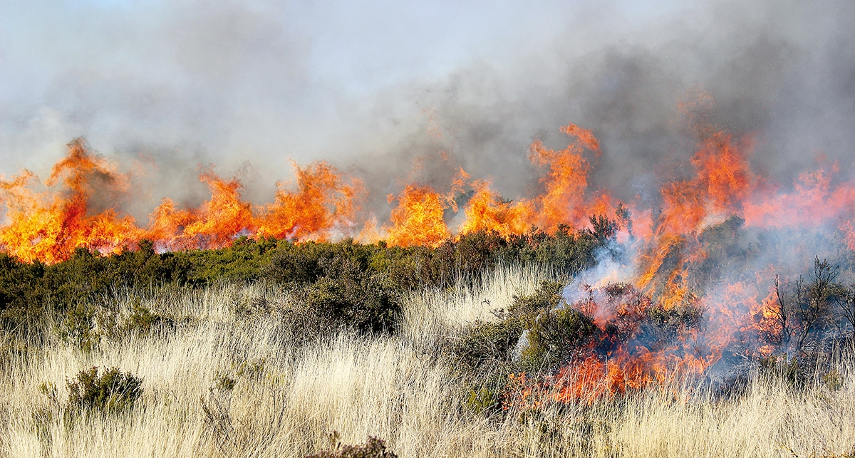 Se reactivan incendios en Sirarelhos y Alvadia
