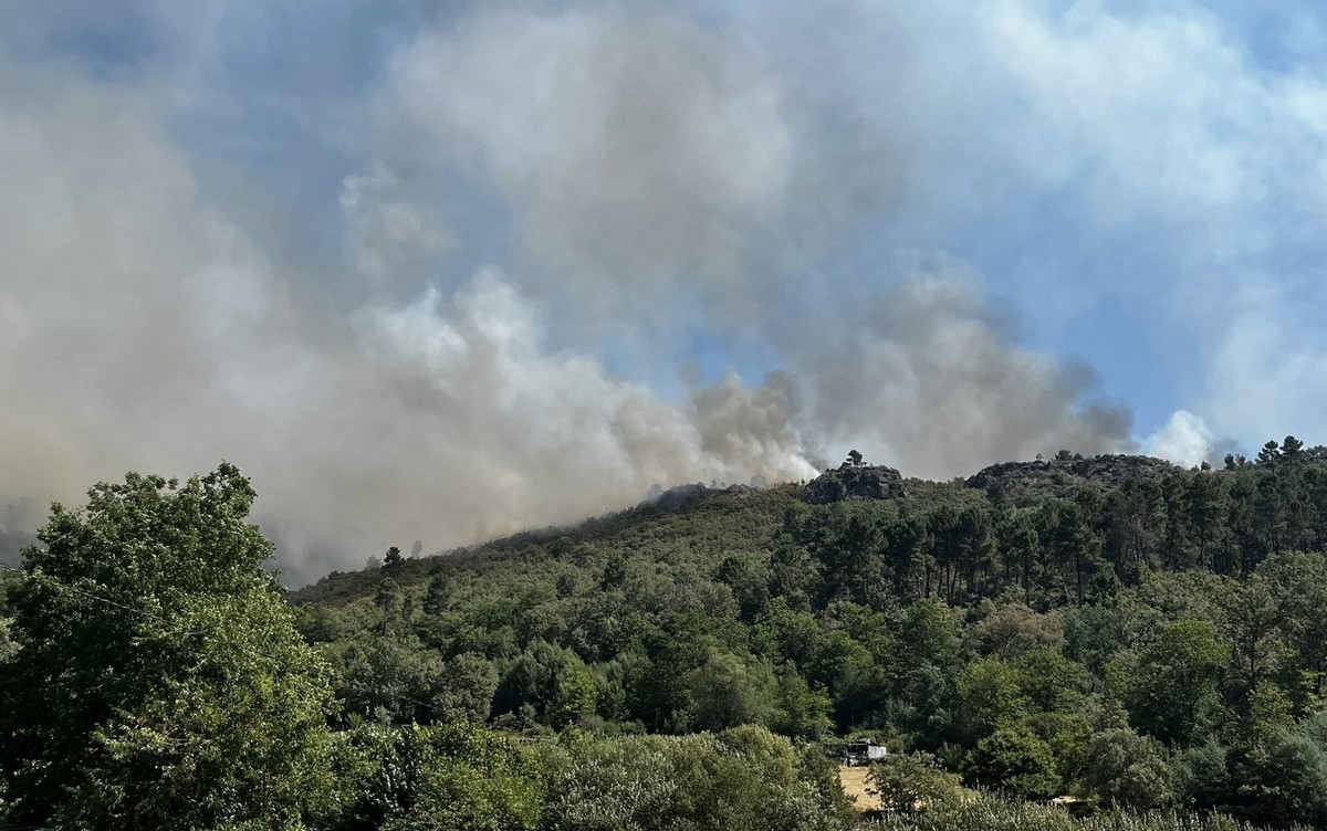 Autarca de Vila Real pede reforço de meios para fogo que começou há 2 dias