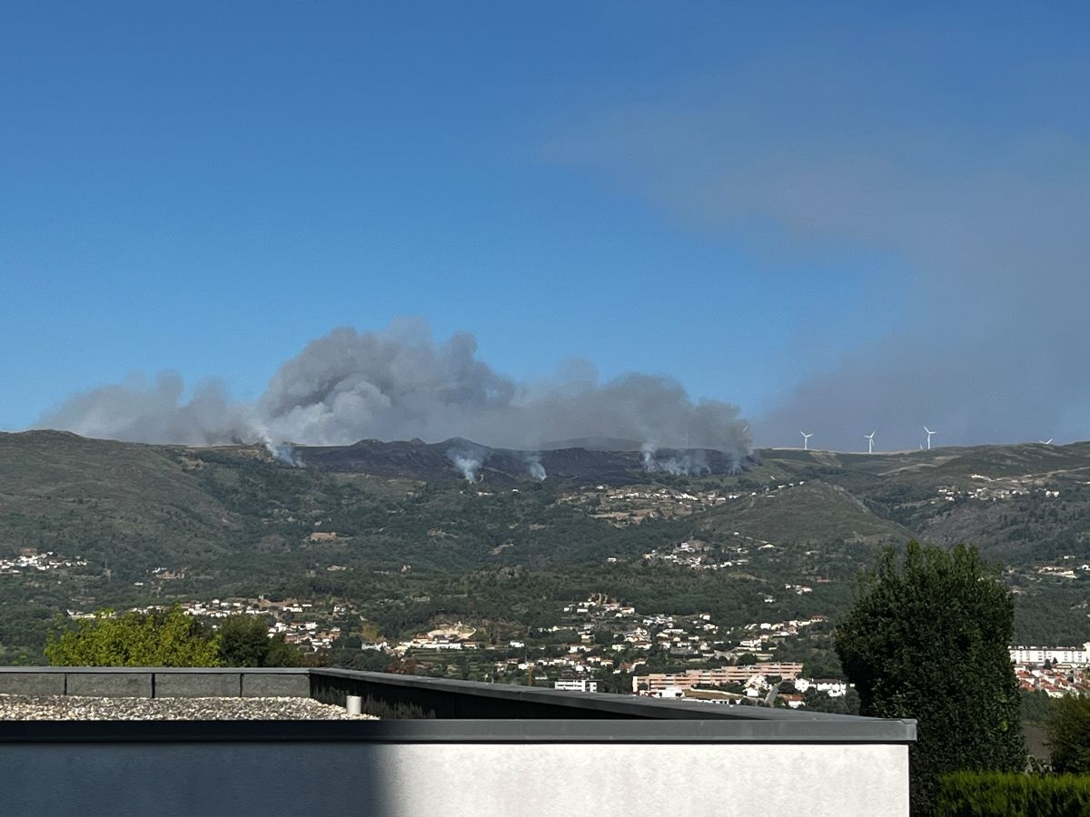 Fuerte reactivación en zonas de pinar y matorral