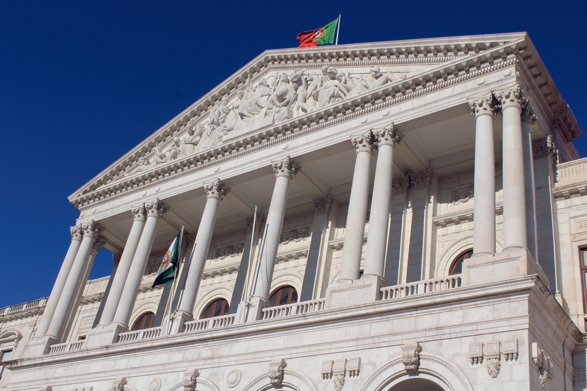 Agriculture Minister to be heard in Parliament on crisis in Douro and Foz Côa kennel