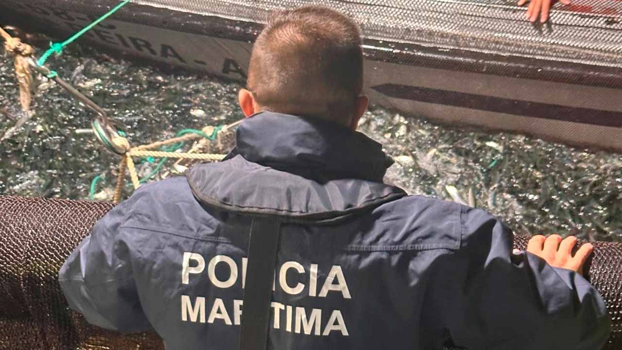 La Polizia Marittima effettua un'operazione di controllo sulla pesca delle sardine