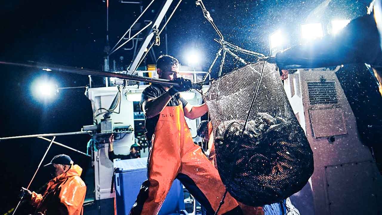 Il Museo di Portimão inaugura la mostra "Sardine – La pesca senza fine con la rete a circuizione"