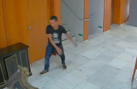 Судья заявил, что он совершил ошибку, освободив человека, сломавшего исторические часы 8 января