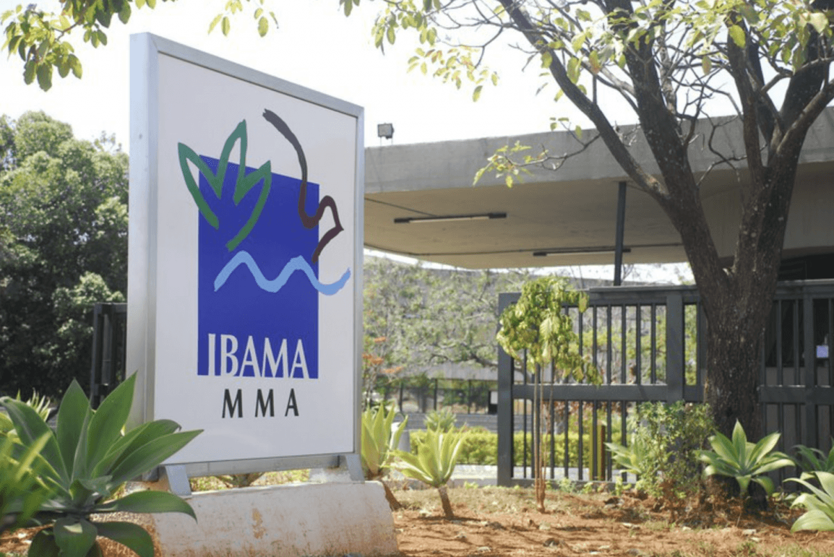 L'Ibama concede la prima licenza preliminare per un progetto eolico offshore in Brasile