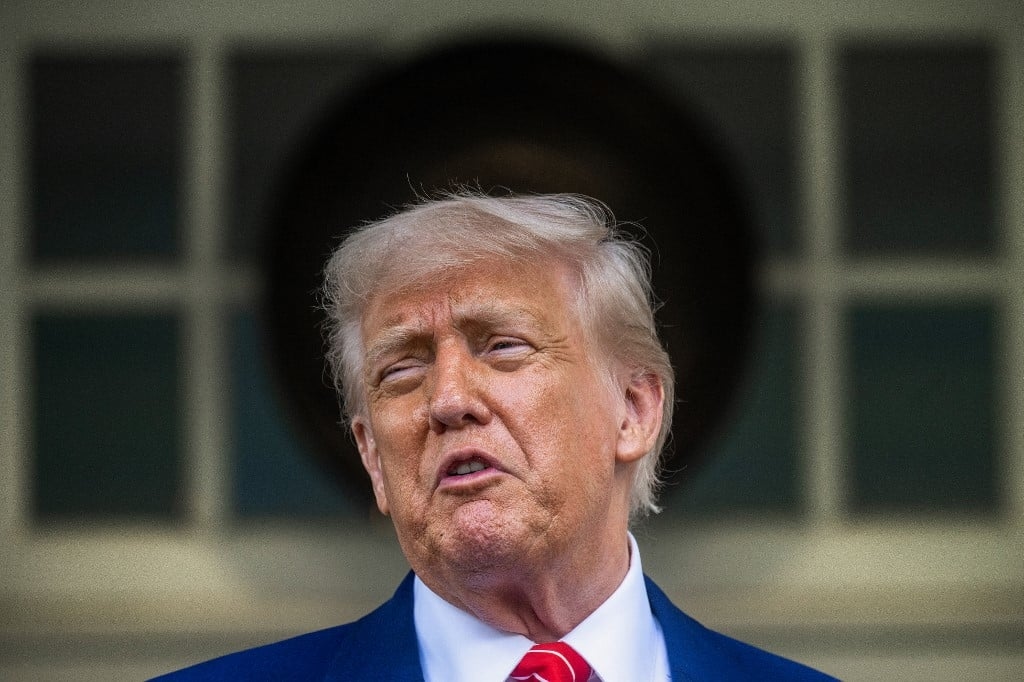I professionisti di Cannes criticano le idee di Trump per Hollywood