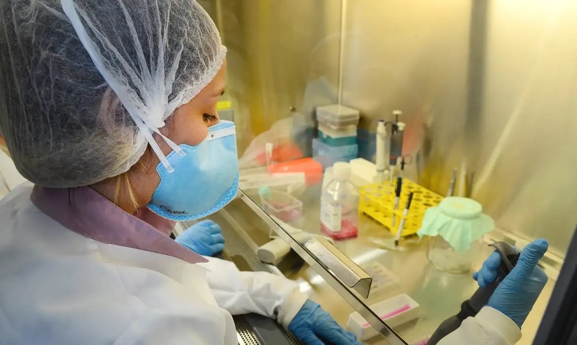USP : La recherche sur le vaccin contre le virus Zika progresse grâce à des tests sur des souris