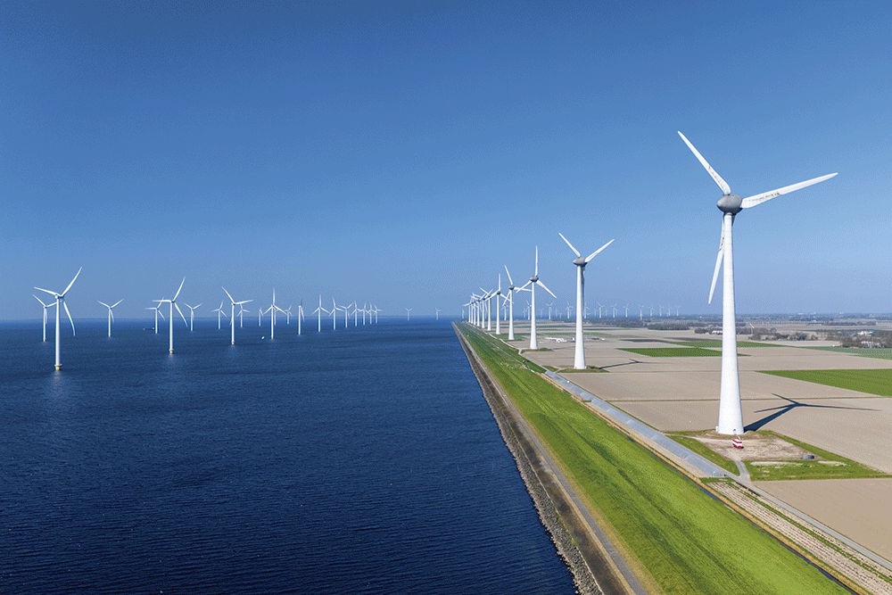 Groene afhankelijkheid