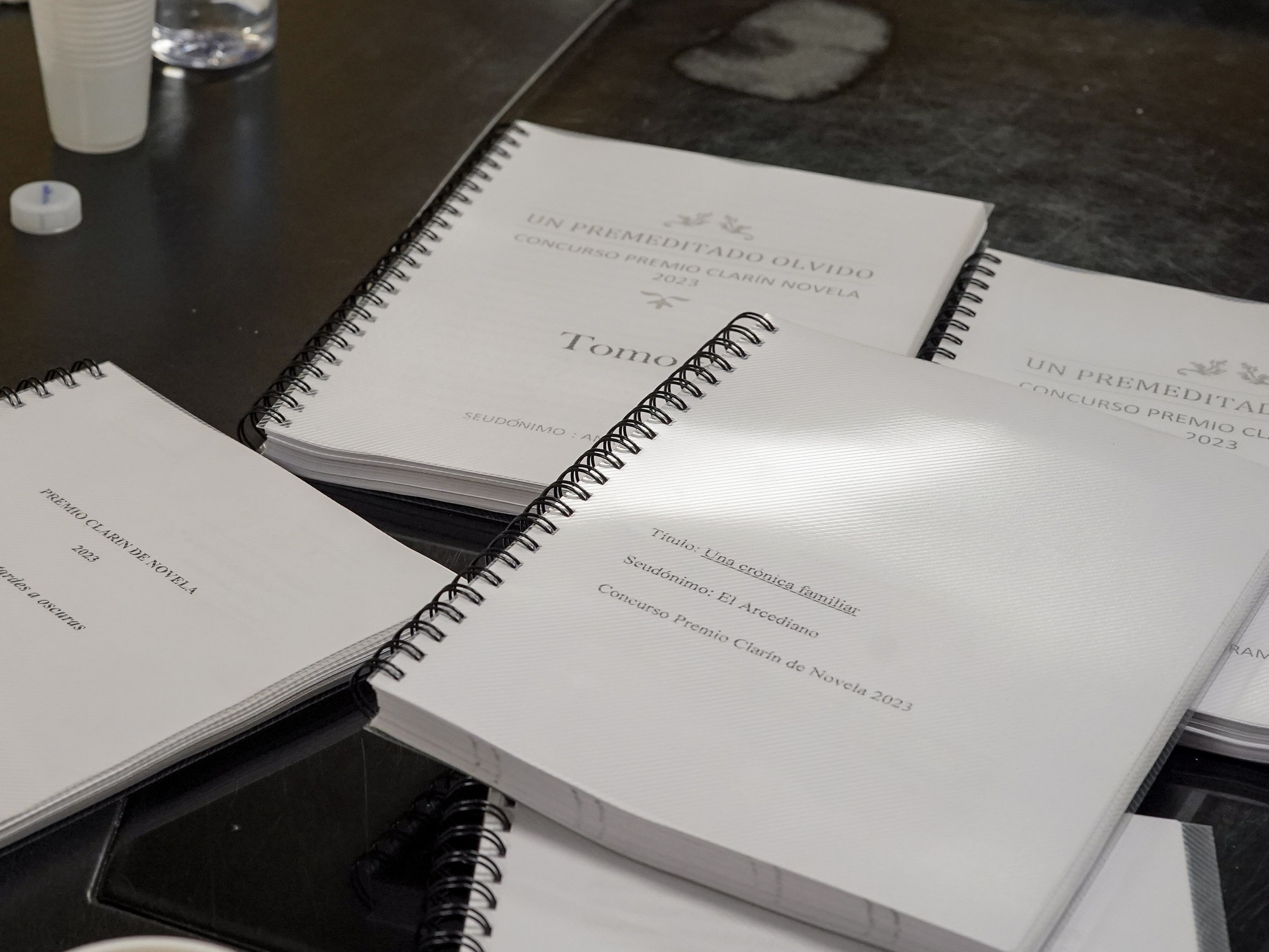 Participación récord en el Premio Clarín Novela: llegaron 1284 manuscritos