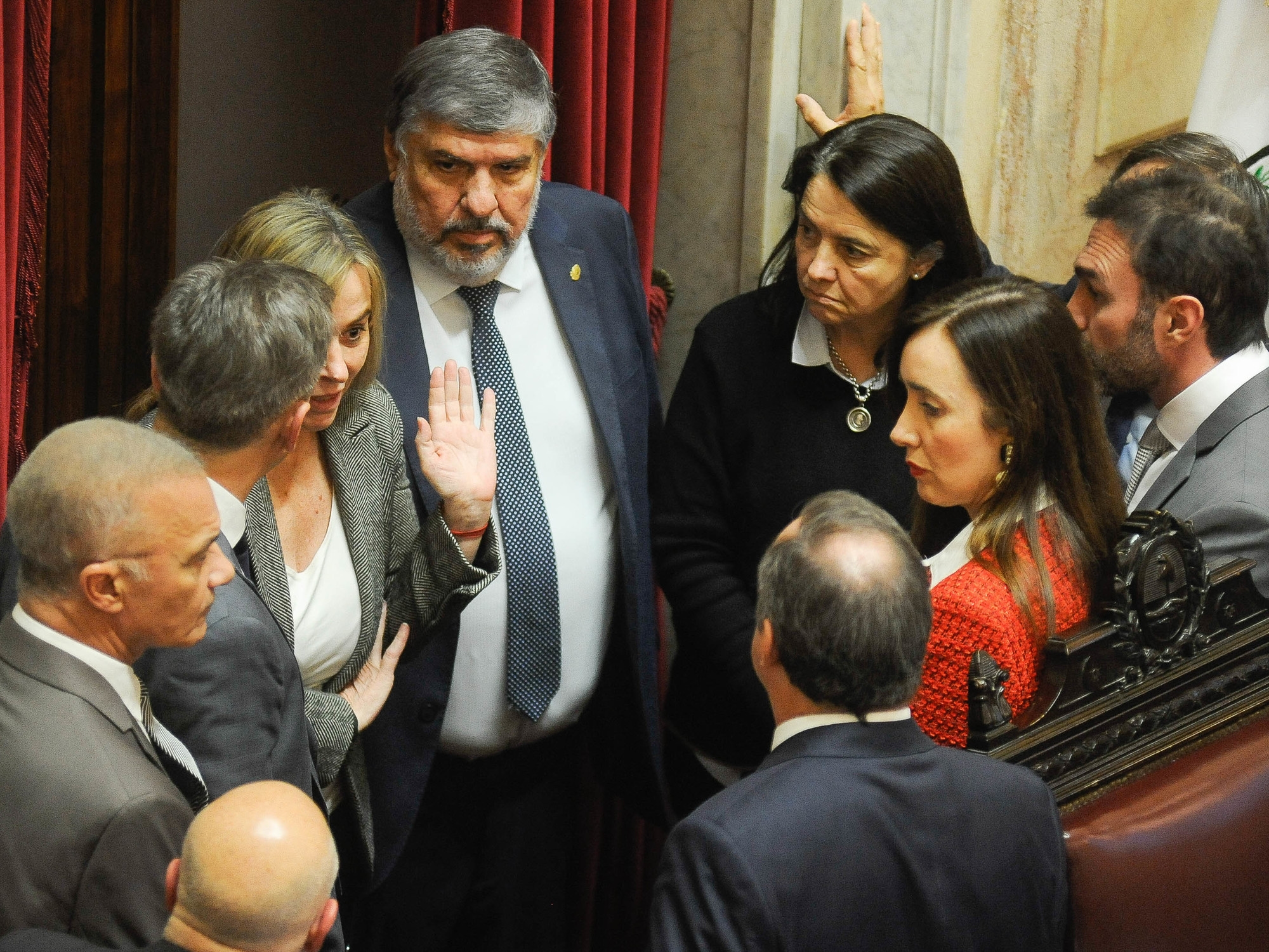 Ficha Limpia: entre desconfianza y acusaciones de "falta de códigos" cruje el grupo de los 38 aliados del Senado