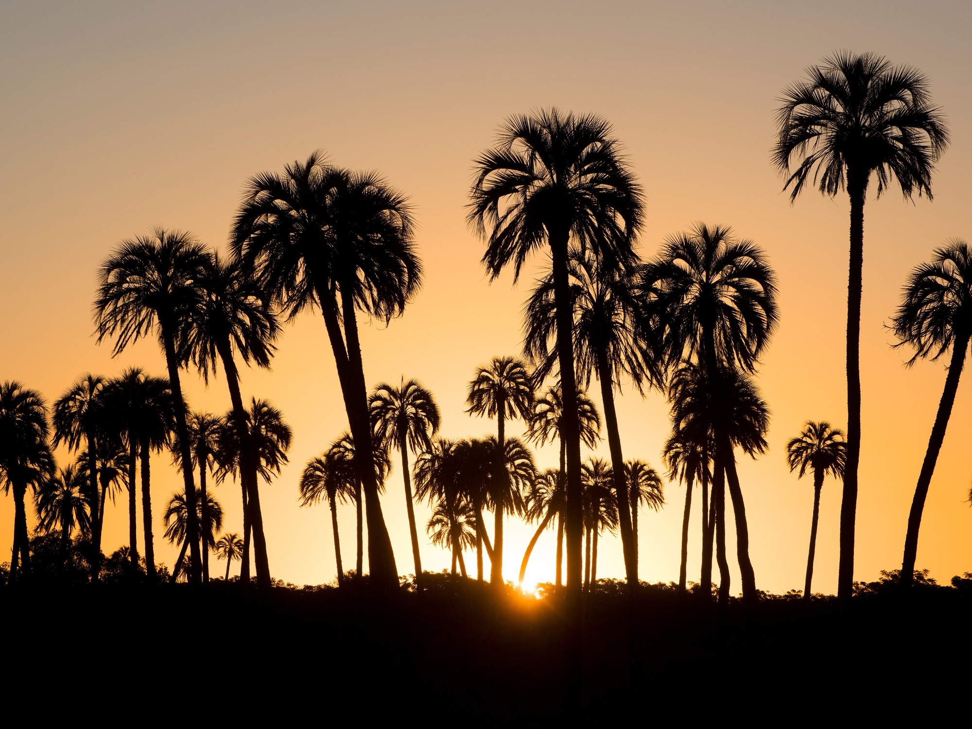 From the Falls to Talampaya or El Palmar, how much does it cost to enter the National Parks during winter vacation?