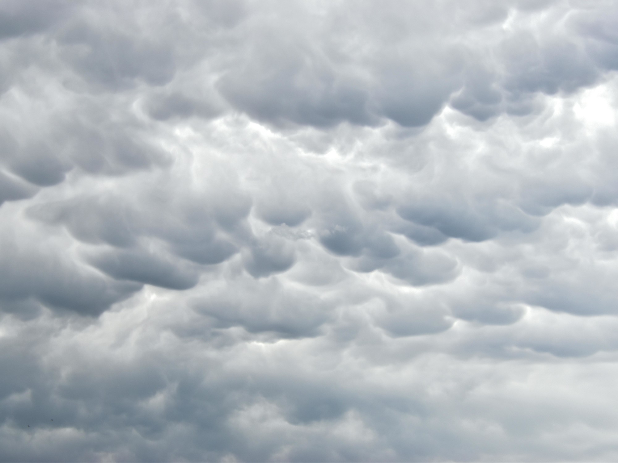 Clima hoy en Moreno: el pronóstico del tiempo para este miércoles 21 mayo de 2025