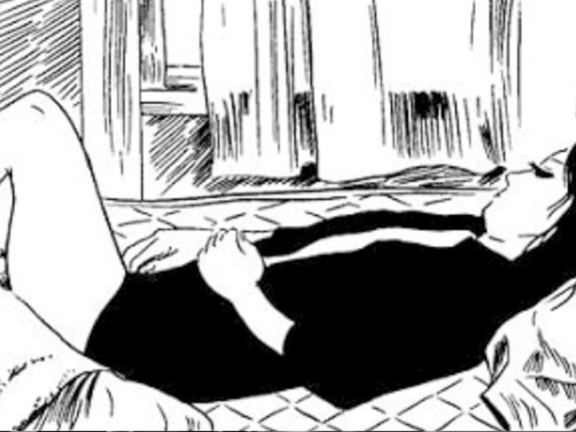 Japanse manga: Literatuur wordt ook getekend