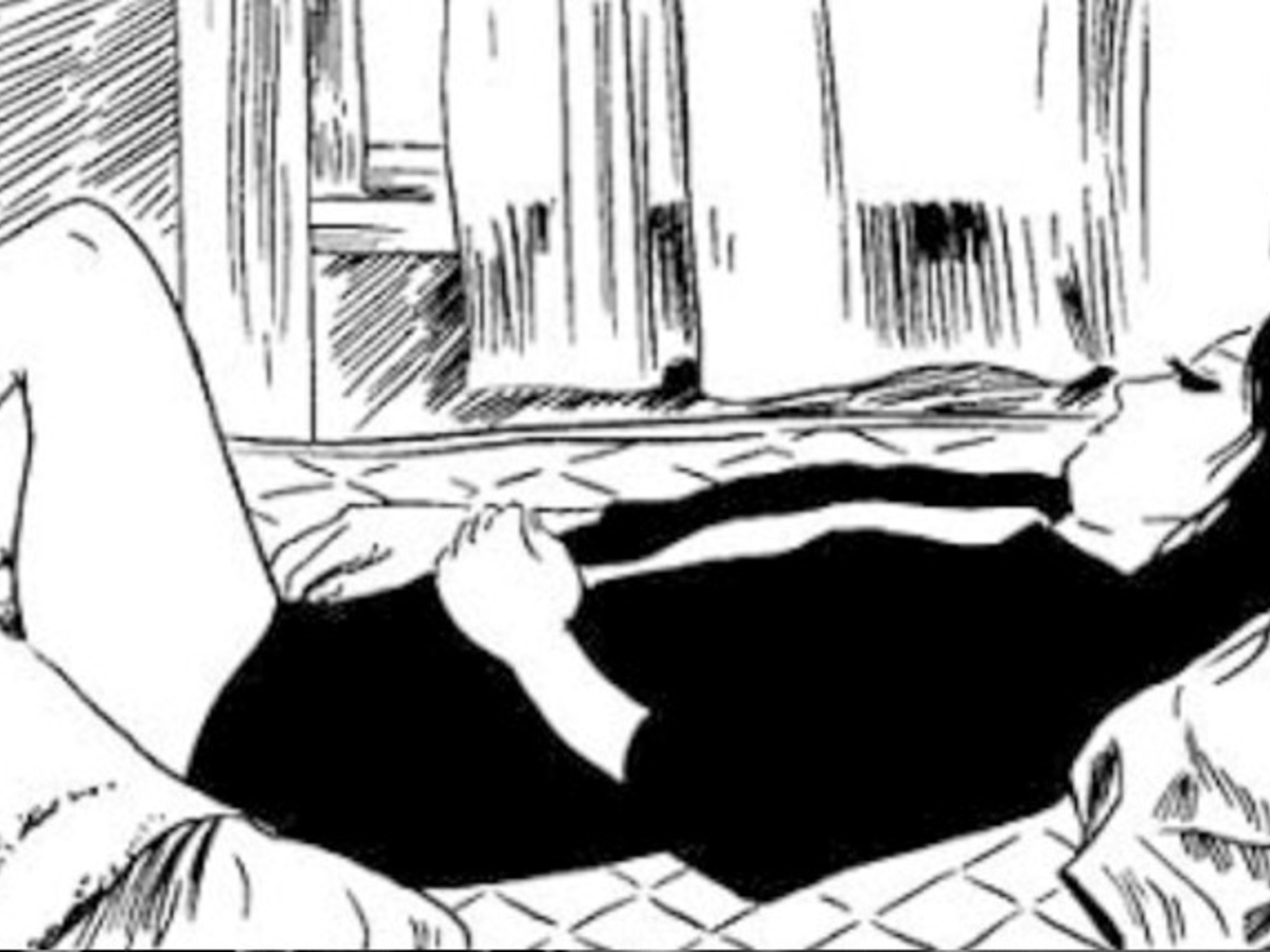 Japanese Manga: Literature is also drawn
