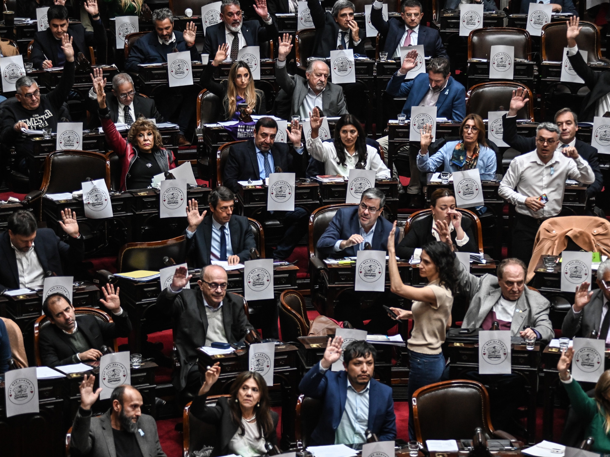 A severe setback for the government: the House of Representatives approved the pension increase and threatened to reject Milei's possible veto.