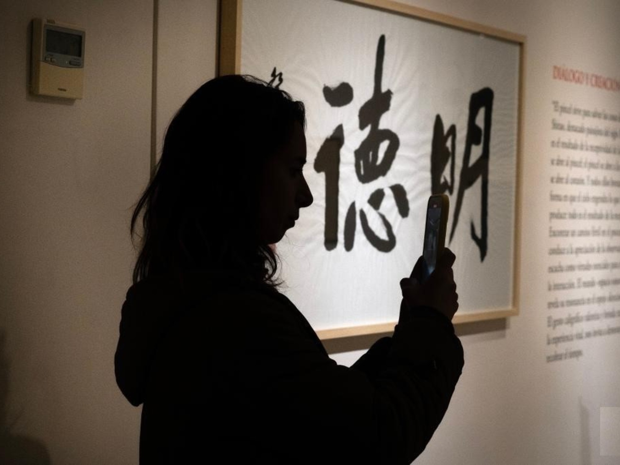 Chinese art and tradition: Ancient calligraphy in a free exhibition in Buenos Aires