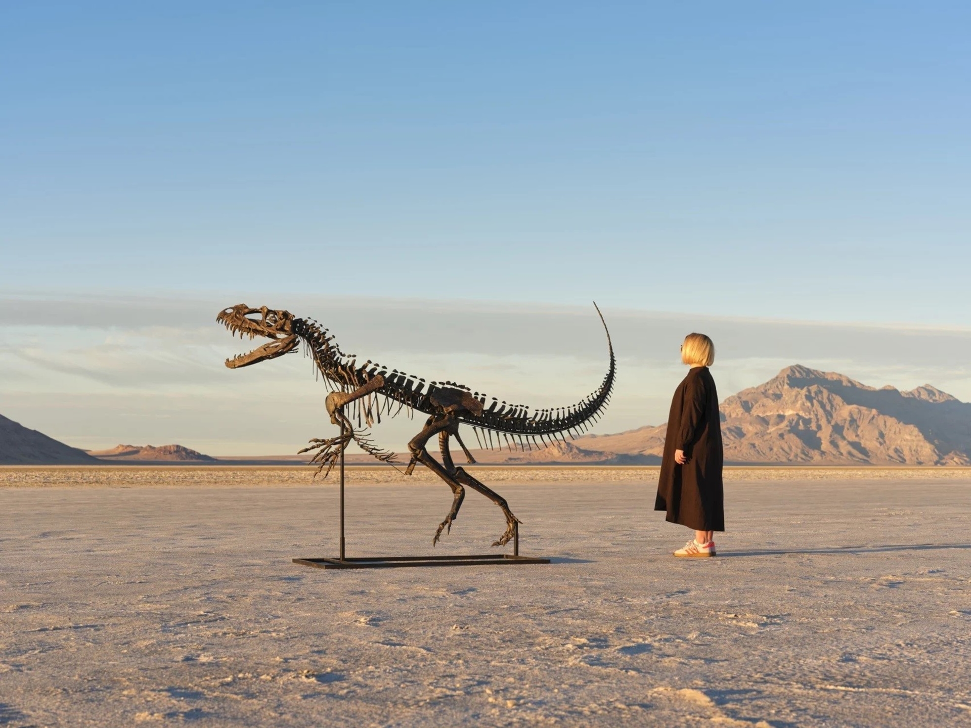 Sotheby's subasta el esqueleto de Ceratosaurus: El único ejemplar juvenil conocido