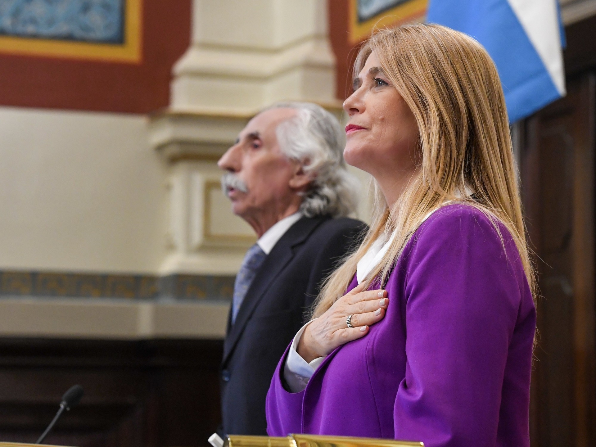 Buenos Aires Senatosu'nda süresiz yeniden seçilmeye yönelik sert eleştiri: "Koltuklarına sıkı sıkıya sarılın"