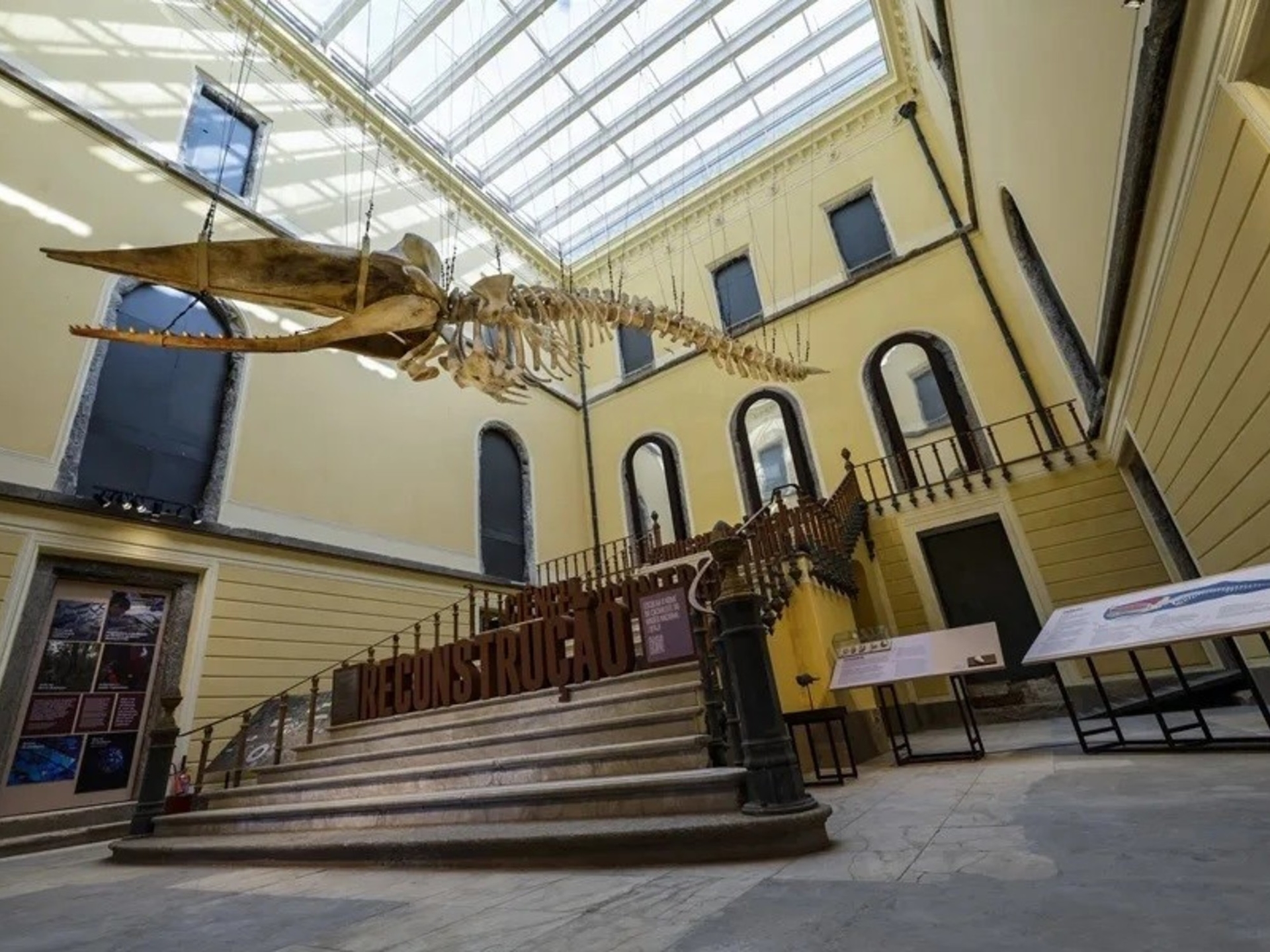 Museu Nacional do Brasil: Sete anos depois do incêndio, público volta ao Palácio de São Cristóvão