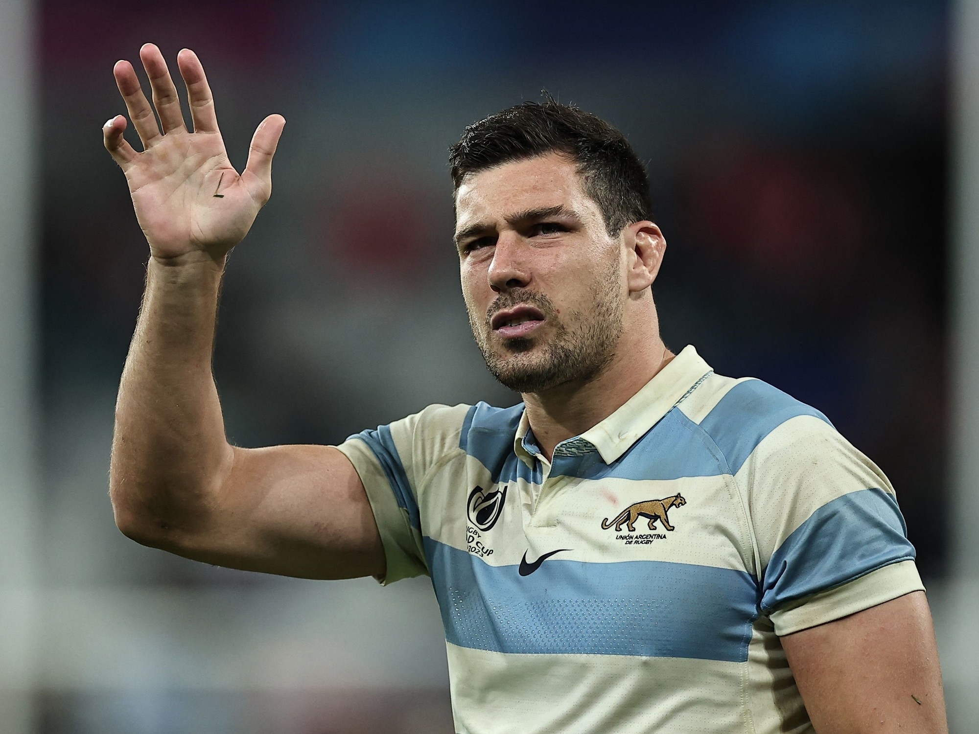 Los Pumas preparan la revancha ante Inglaterra: entre altas y bajas, Contepomi llamó a un histórico para ampliar la base