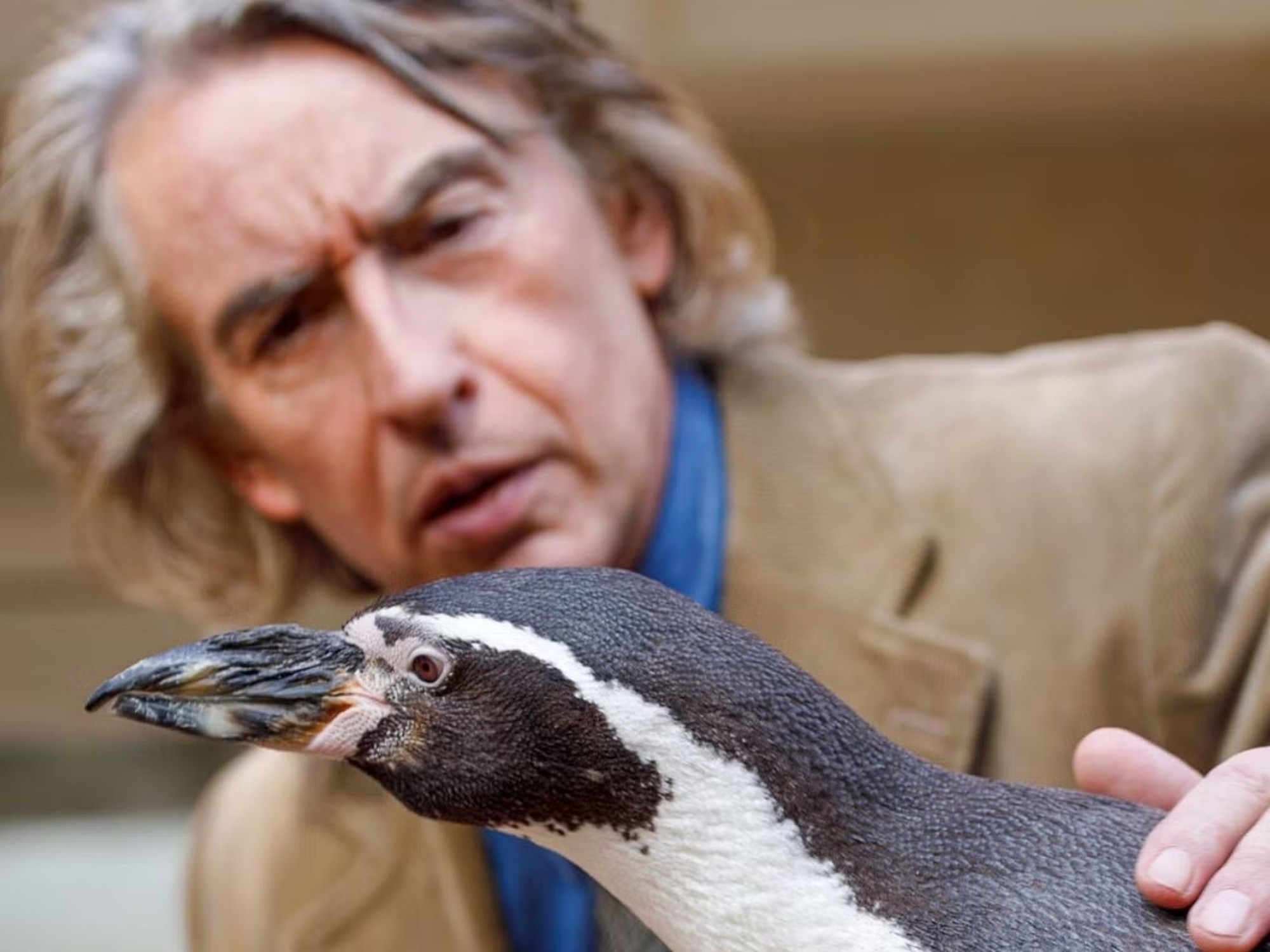 The incredible story of the penguin who lived at Saint George's School in the 1970s: the teacher who adopted him speaks out.