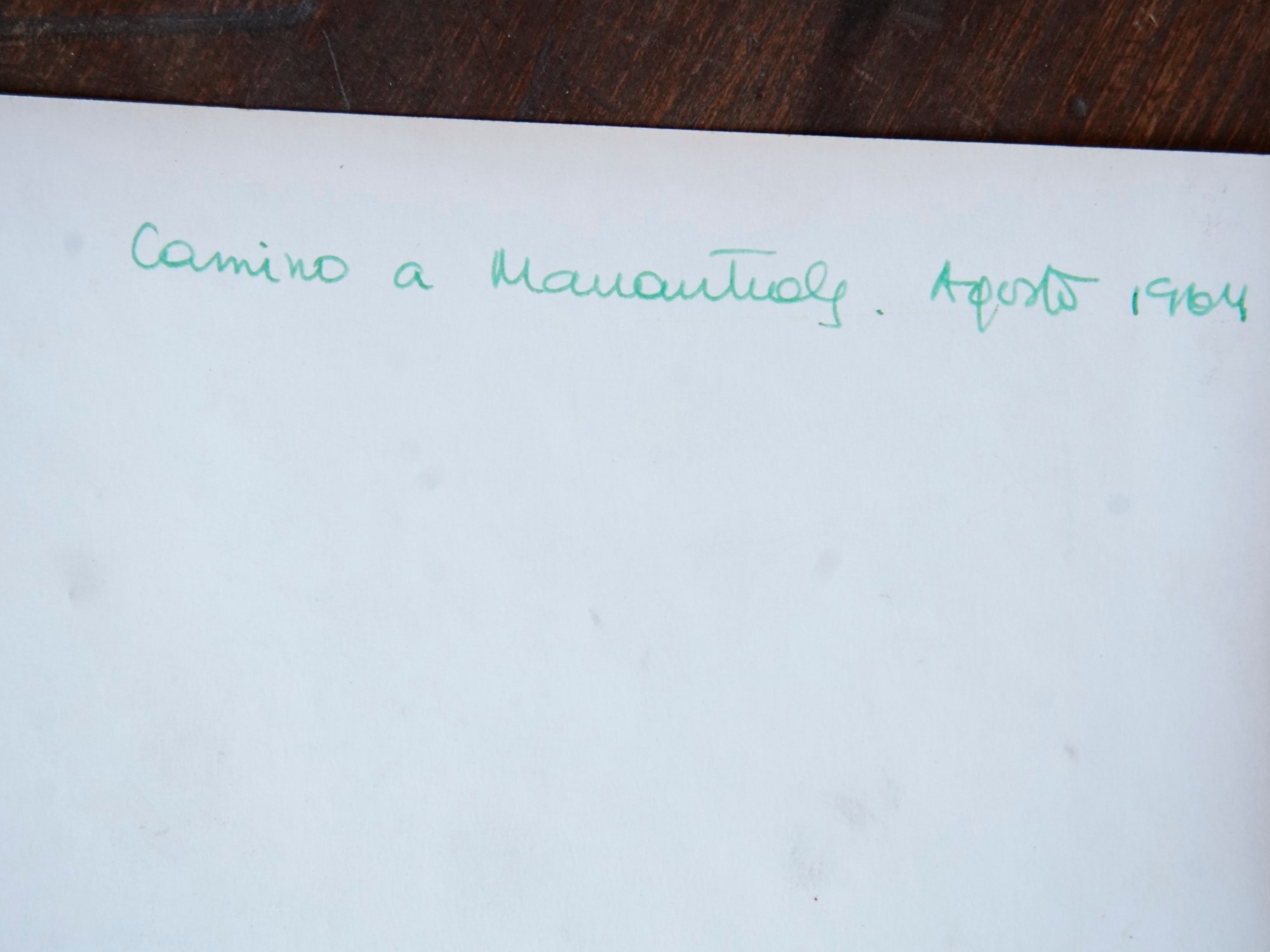 Beatriz Sarlo: La revelación periodística de la pericia caligráfica puede dejar fuera esa prueba clave