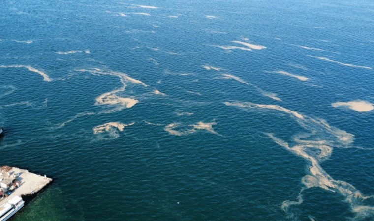 Nach Maltepe, den Inseln ... Schleim breitet sich im Marmarameer aus!