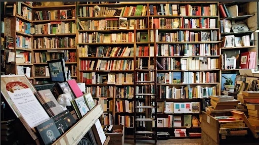 Feira Library is the one that made the most loans in the country and invested the most in books in 2023