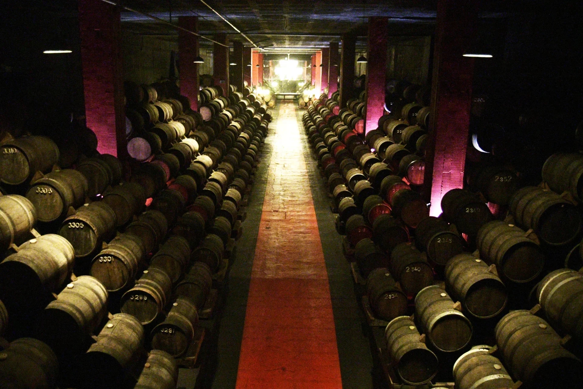 Sangalhos has an underground museum where art “marries” with wine