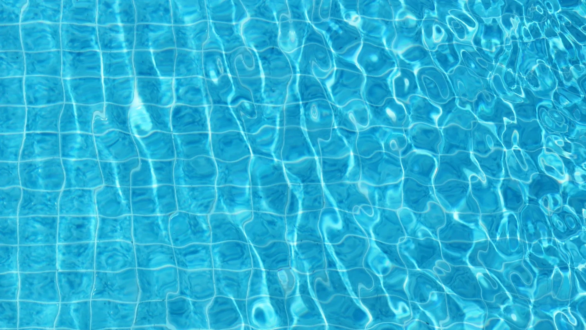 Câmara de Aveiro lança concurso para edifício de apoio às piscinas de Cacia