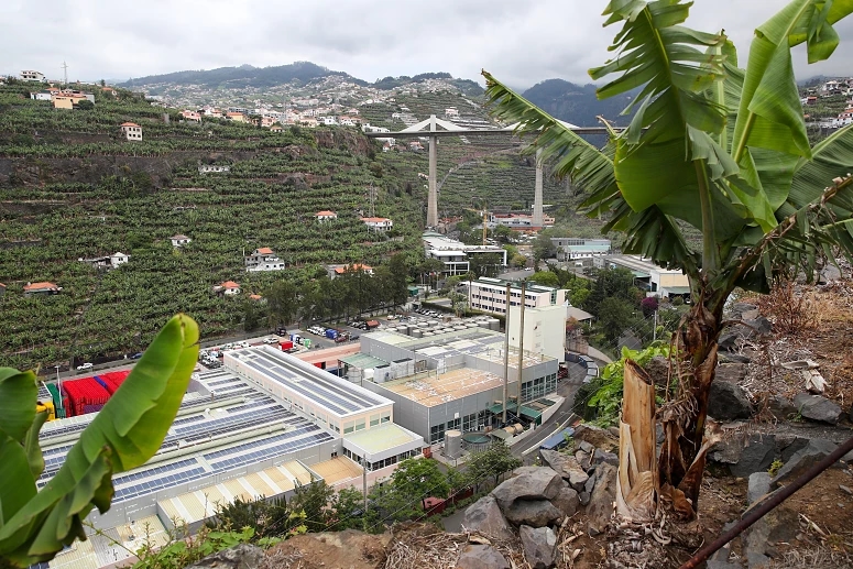 Fuga de amoníaco na Madeira obrigou a retirada de 150 pessoas