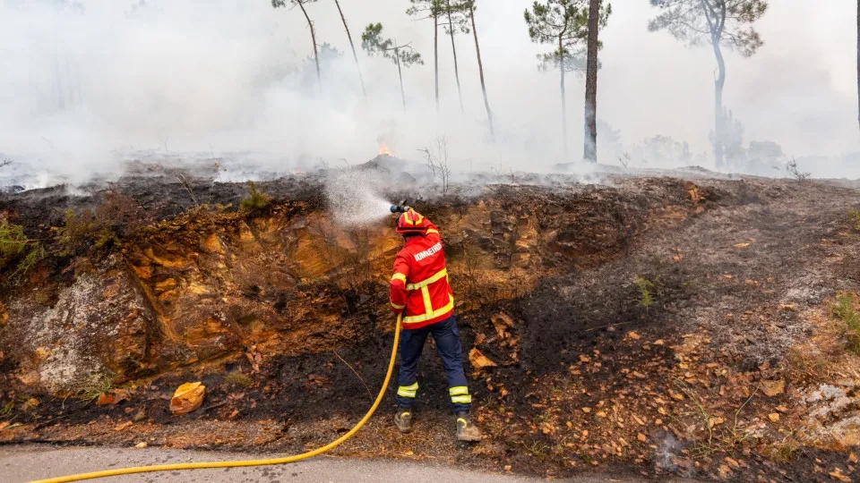 PJ arrests woman for forest fire in Arouca