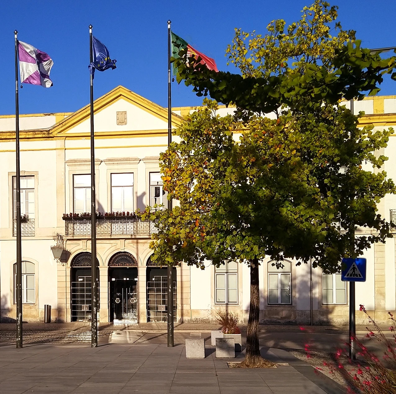 Anadia provides five thousand euros of extraordinary support to cultural associations