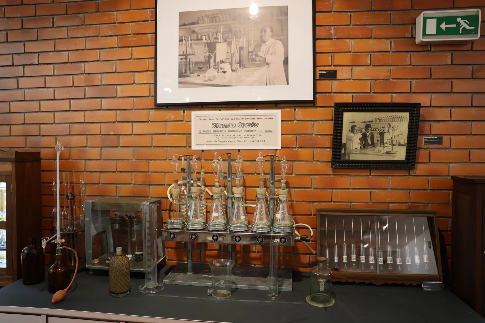 Museu do Vinho Bairrada inaugura exposição “Espumante | Bairrada Terra-Mãe”