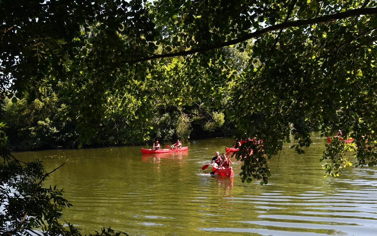 Cyanobacteria: New swimming areas closed