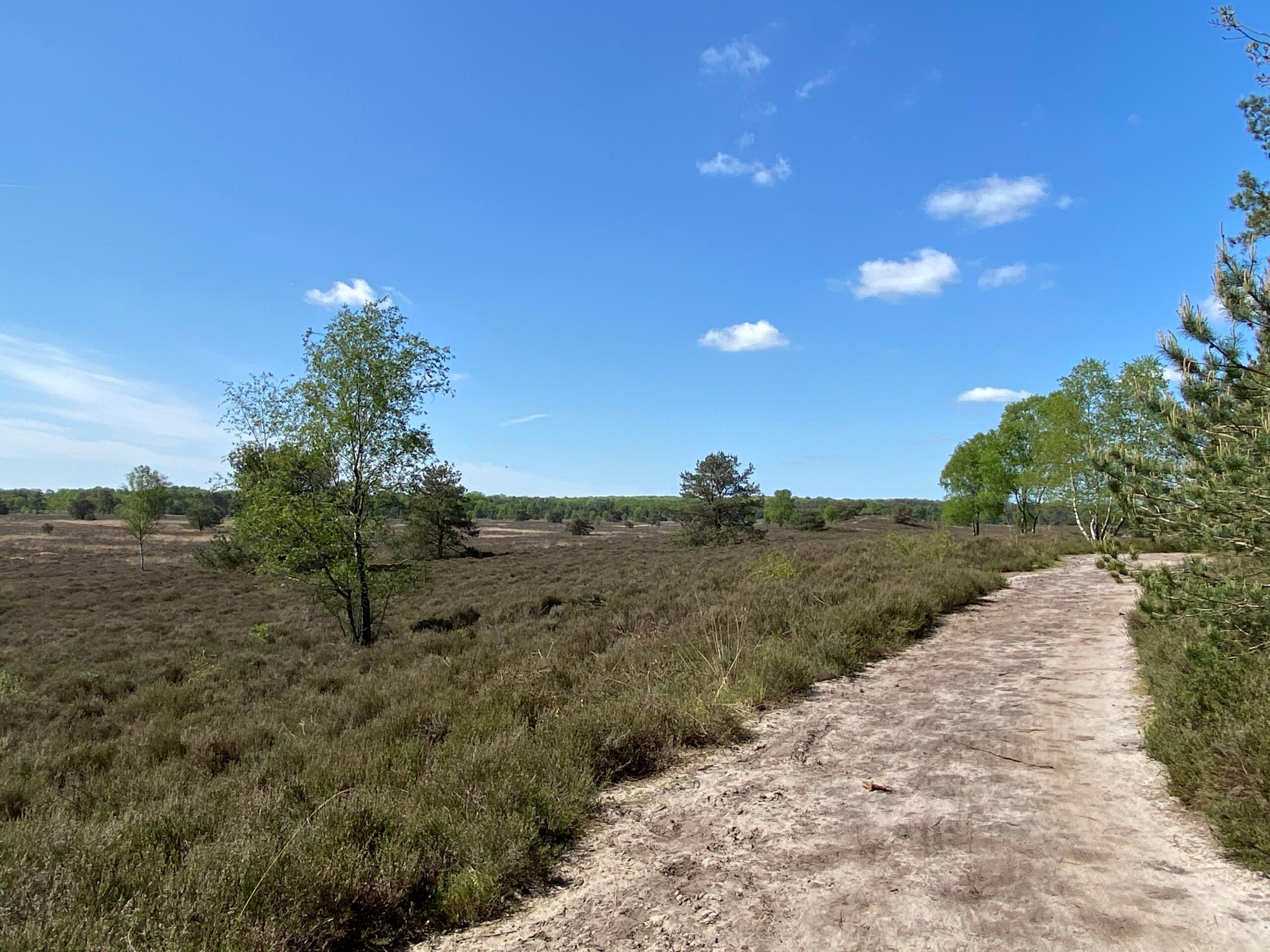 Destinos holandeses: aventure-se de volta ao Veluwe