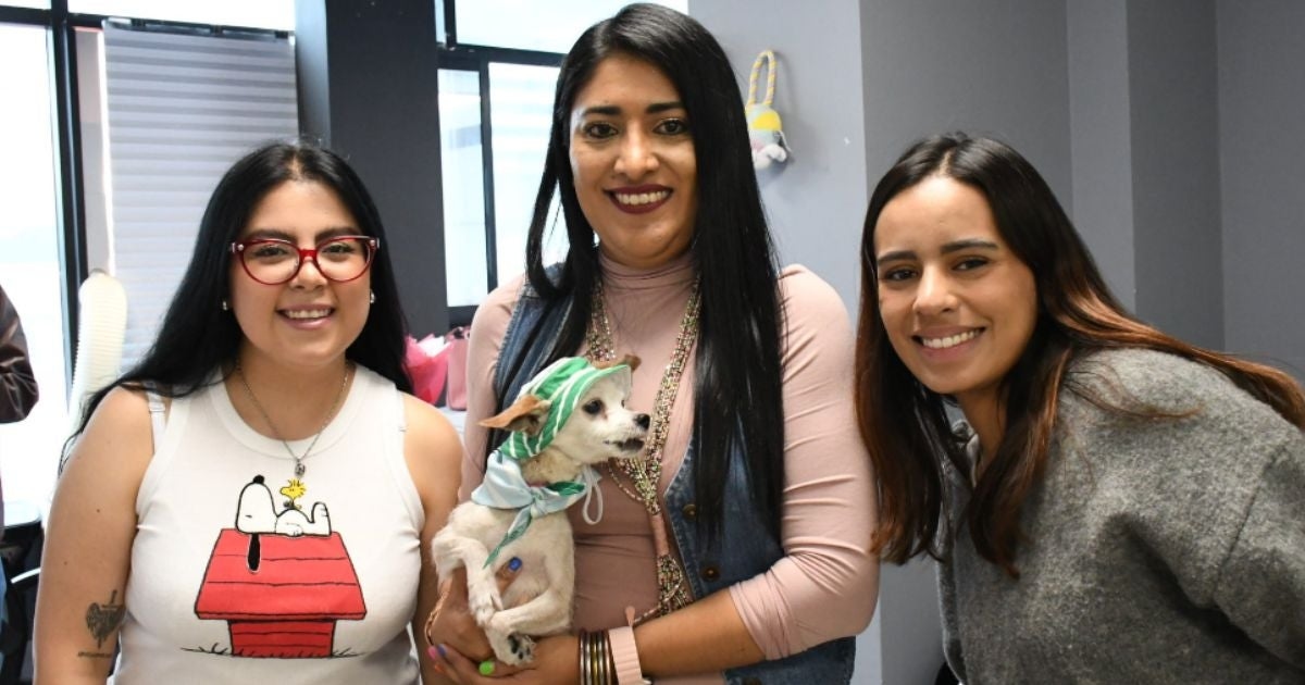 Benito Juárez aims to be the first pet-friendly mayor's office in Mexico City.