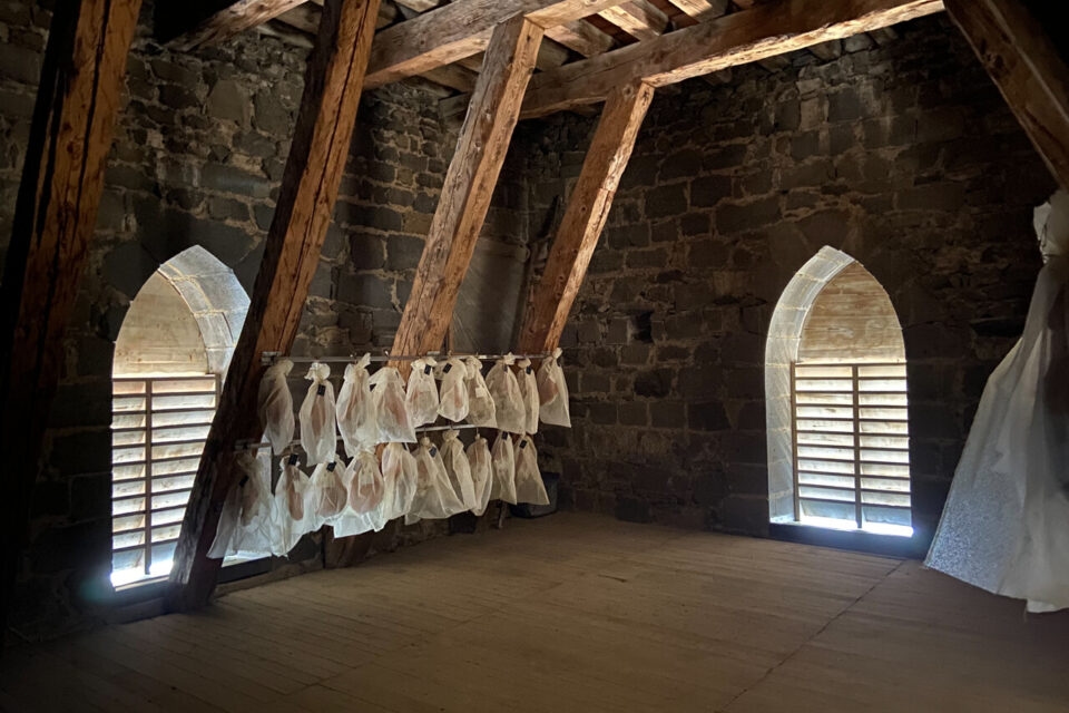 Saint-Flour (15): Fransız yapı yetkilileri, bir katedral kulesinde kurutulan jambonların kaldırılmasını talep ediyor. (Güncelleme: Abbé Boyer, kürlenmiş etleri için Tarım Liyakat Ödülü'nü aldı)