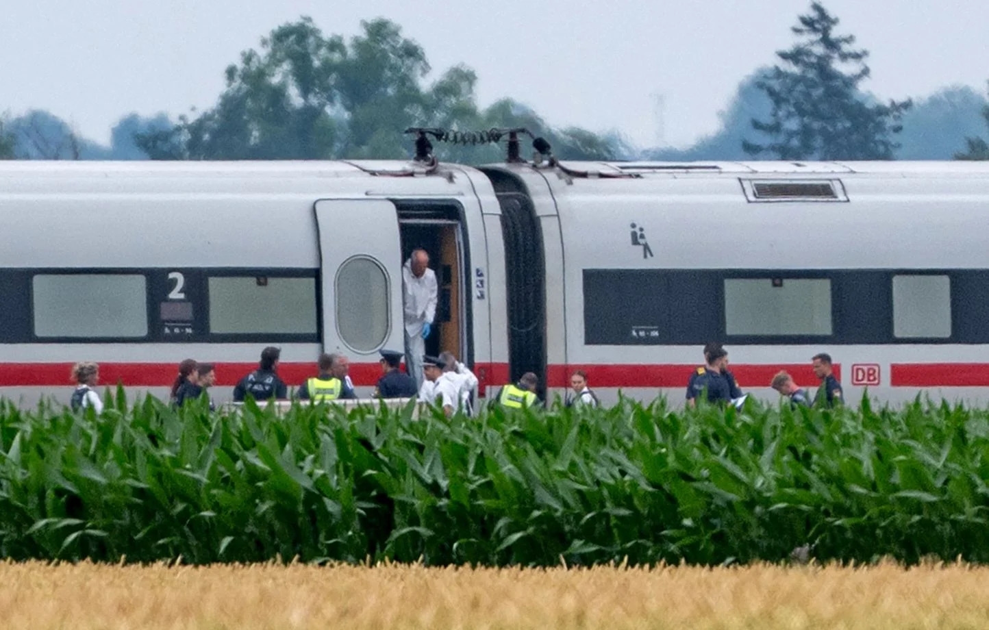 Germany: 20-year-old Syrian attacks train passengers with an axe, injuring four