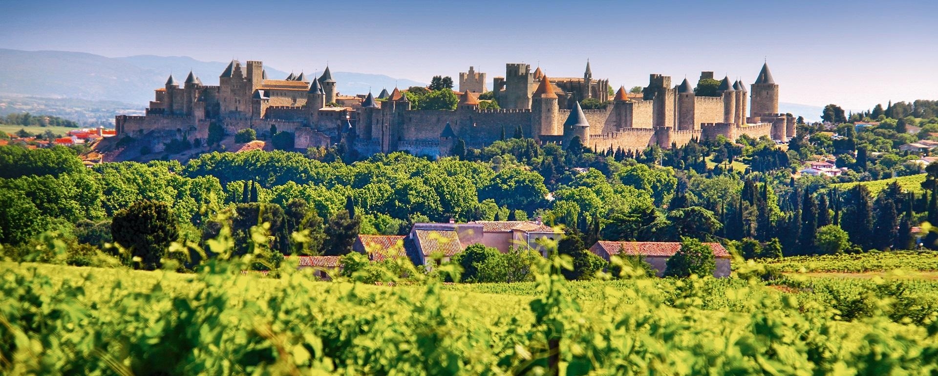Carcassonne (11). Un homme de 36 ans tue d’une cinquantaine de coups de couteau un autre homme. Il a un “casier fourni” comptant notamment une condamnation pour meurtre en 2016