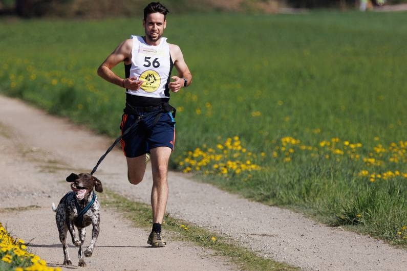 Il tiro è consentito in via eccezionale: Correre con il cane: ecco come funziona il Canicross