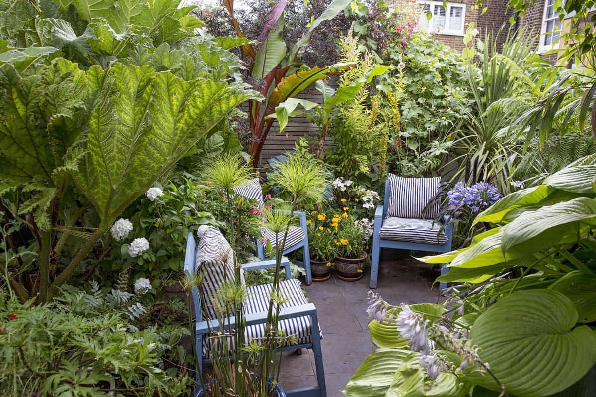 Sofrendo com o calor? Estas plantas vão deixar o seu jardim mais fresco