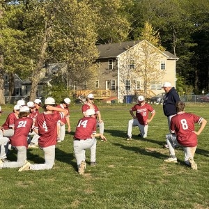 HS Baseball: Underclassmen-heavy Amherst building for the future