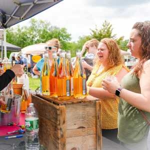 Beyond the bottle: Pioneer Valley Wine Festival to feature wine tastings and more