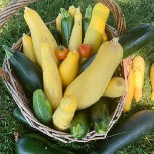 Wöchentlicher Food-Fotowettbewerb: Die Gewinnerin dieser Woche: Jane Szelewicki aus Hadley