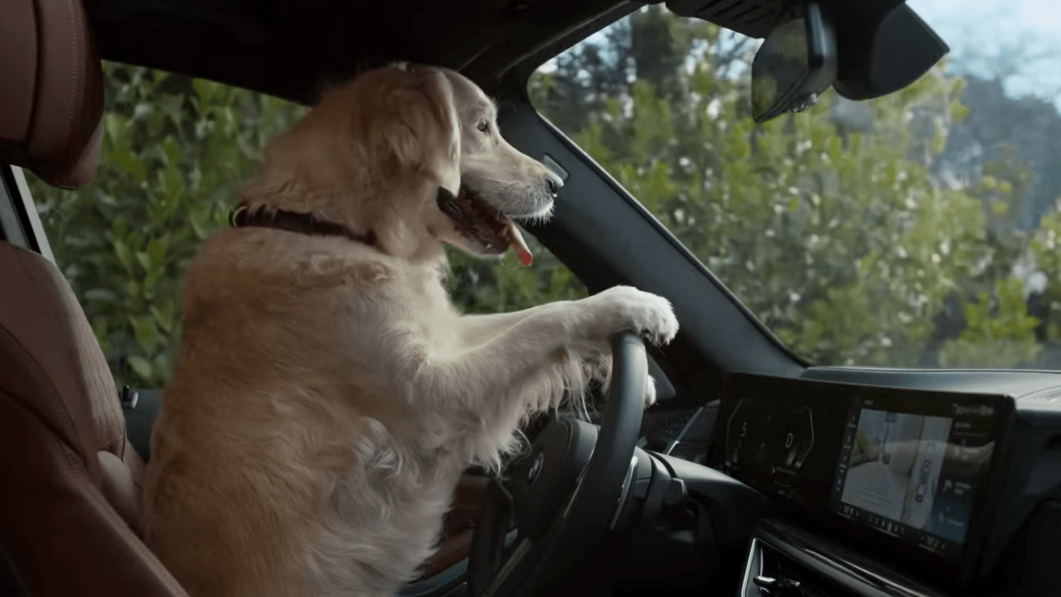 Innovation campaign: BMW and Jung von Matt let the dog take the wheel
