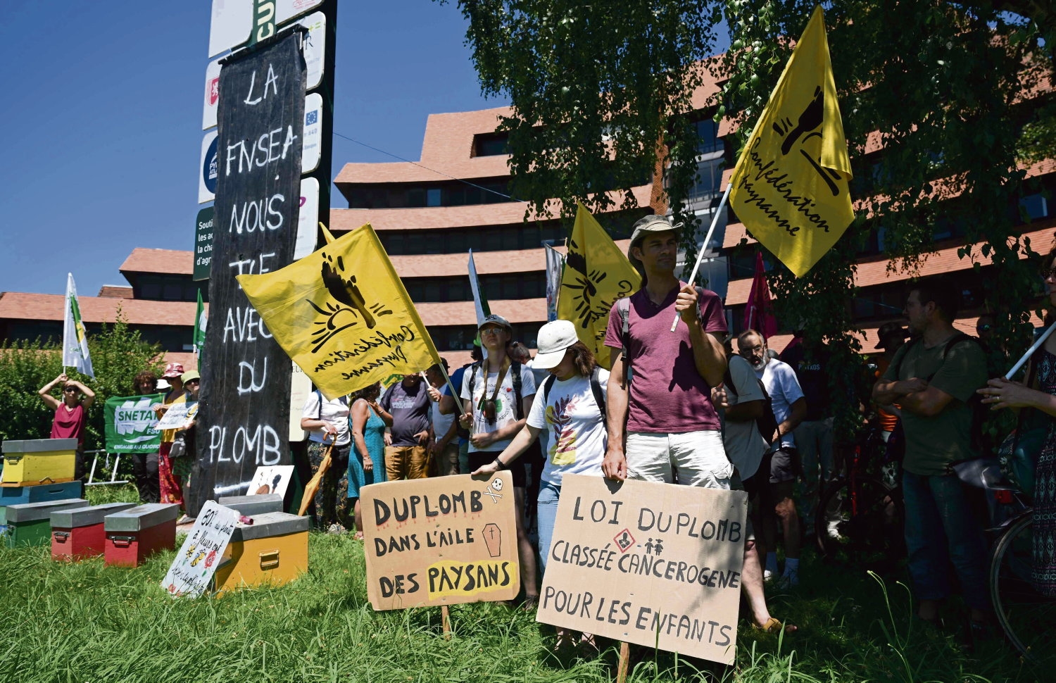 Ley Duplomb: Los sindicatos de agricultores se oponen a la desregulación, lo que pone en riesgo la salud y el medio ambiente.