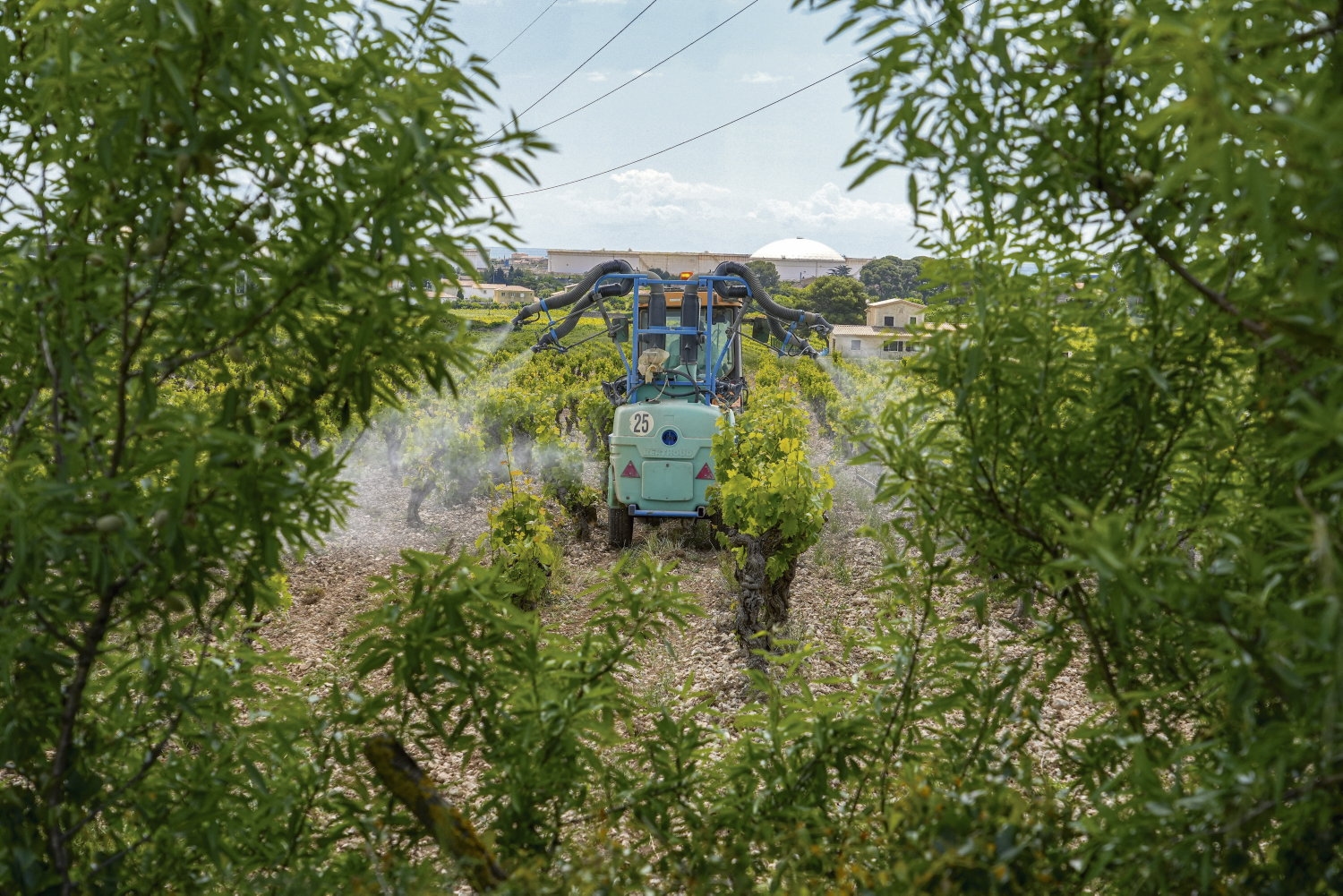 "Contra la ciencia, contra la salud, contra el interés general": la ley Duplomb, un texto explosivo que revive los pesticidas prohibidos y ataca a la izquierda.