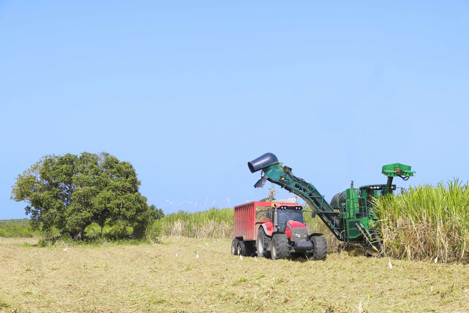 Victoire Violanes, nova copresidente da Modef: "No exterior, os agricultores pagam o dobro do que na França continental"