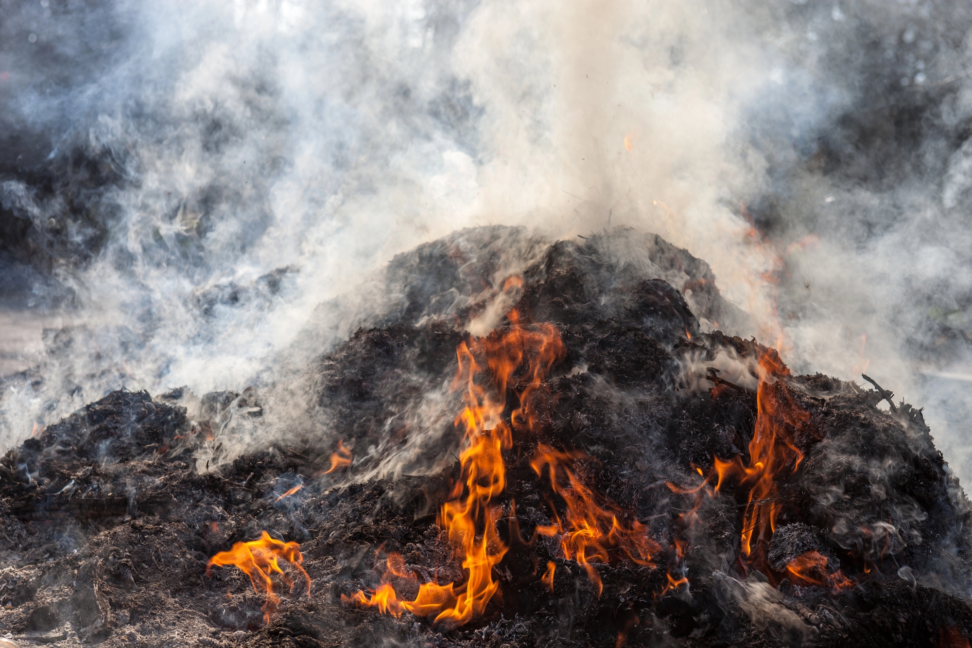 Procida suffocates in fumes, but the law sleeps until June 15. But then the controls?